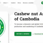 20260519-Cashew-Nut-Association-Cambodia